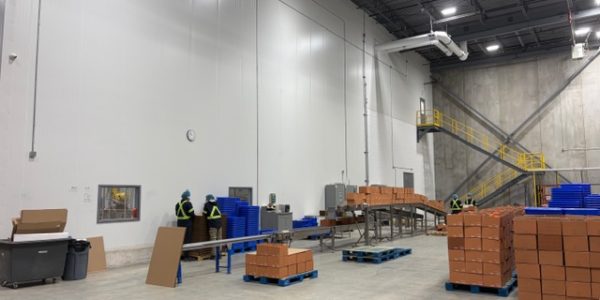 Agrocrop Exports new enclosure walls